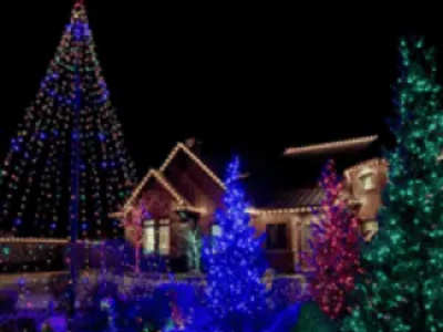 Trees, Bushes & Hedges